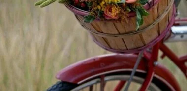 70 Herbstblumen als dekorative Blumenarrangements