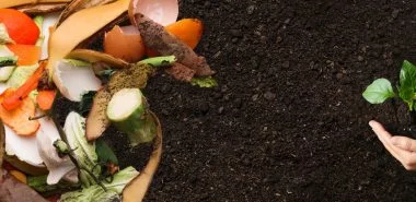 Selbst den Kompost anlegen - So spart man Geld und erhöht seine Lebensqualität