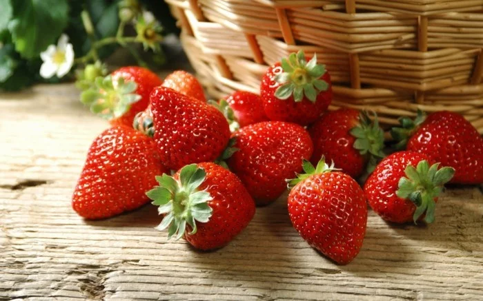 erdbeeren essen und das leben geniessen