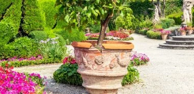 Mediterraner Garten in 50 Bildern - Ein Vorbild, wie Sie Urlaubslaune und Wohlgefühl in Ihren Garten bringen