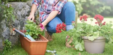 Die Gartenpflege im Frühling - Wissenswertes und praktische Tipps