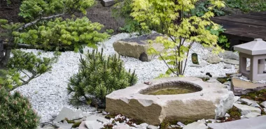 Steingarten anlegen und eine naturgemäße und attraktive Gartengestaltung genießen
