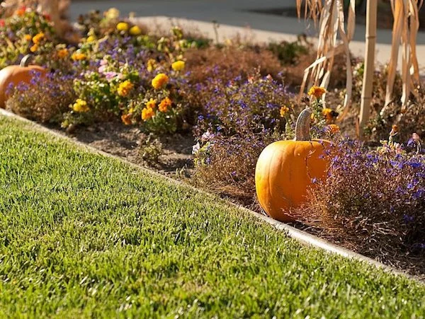 Gartenarbeit im Herbst mit Kürbissen dekorieren