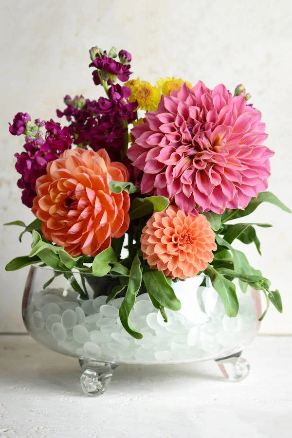 Chrysanthemen Vase verschiedene Farben
