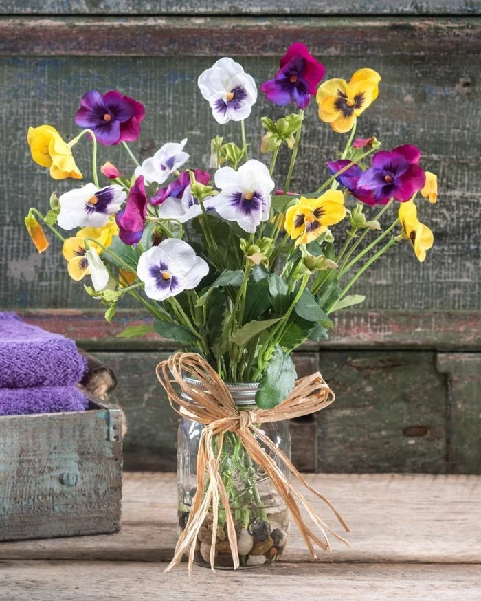 fruehjahrsblueher tulpen weiss violet