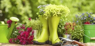 Die 6 besten Tipps für die perfekte Gartengestaltung im Frühling