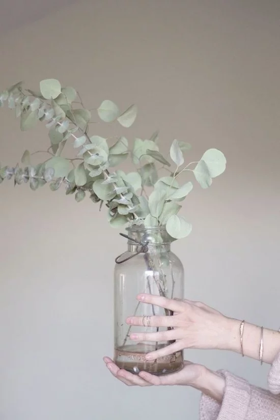 Baby Blue Eukalyptusblatter in Vase arrangiert