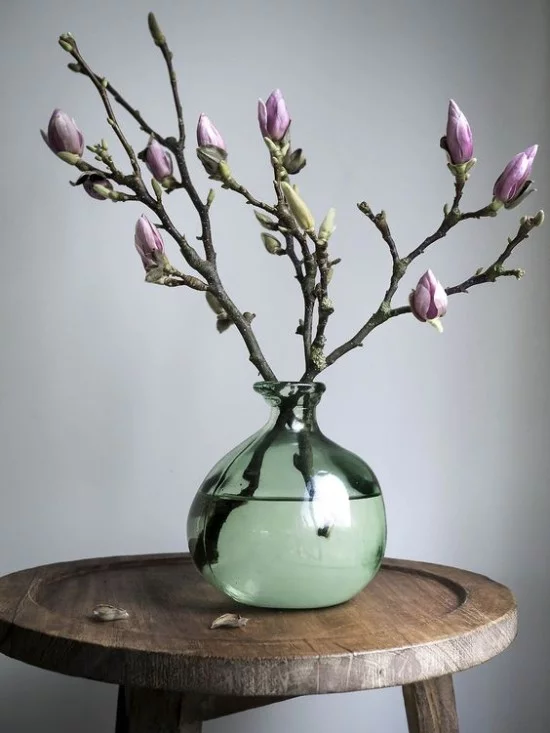 Magnolienzweige in Vase gute Figur