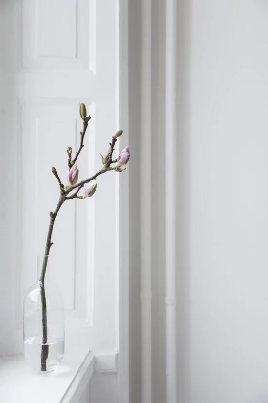 Minimalistische Deko Magnolienzweig natürliche Schönheit