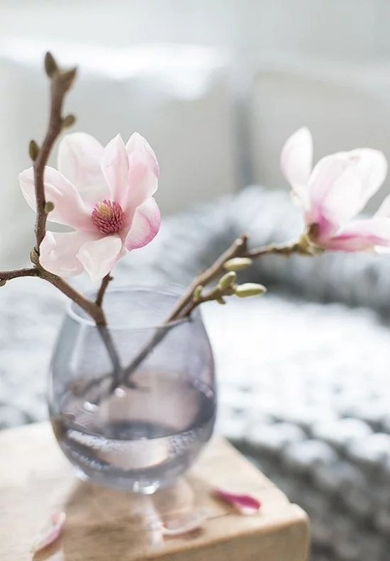 Schöne Deko Magnolie rosa Blüten Vase