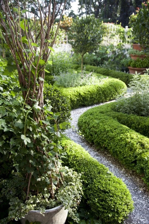 Gartengestaltung Ideen Gartenweg von Buchsbaum umrahmt führt ins üppige Grün