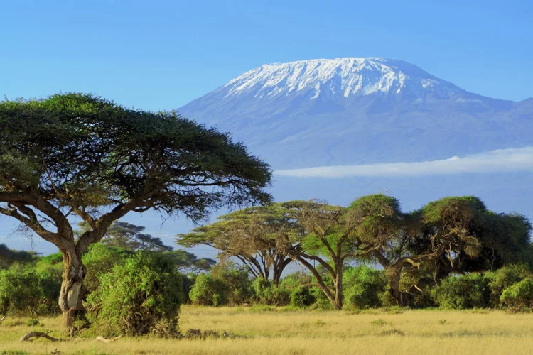 Reiseziele 2020 Kilimandscharo im Schnee Reise zum Dach Afrikas