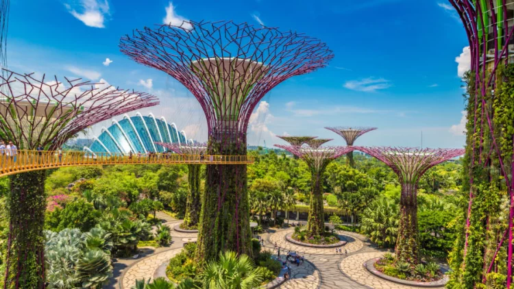 Reiseziele 2020 Singapur futuristische Gärten an der Bucht unbekannte Baumart