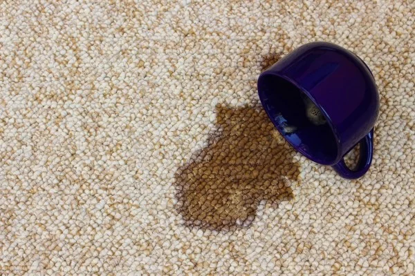 kaffeflecken entfernen kaffeeflecken teppich entfernen