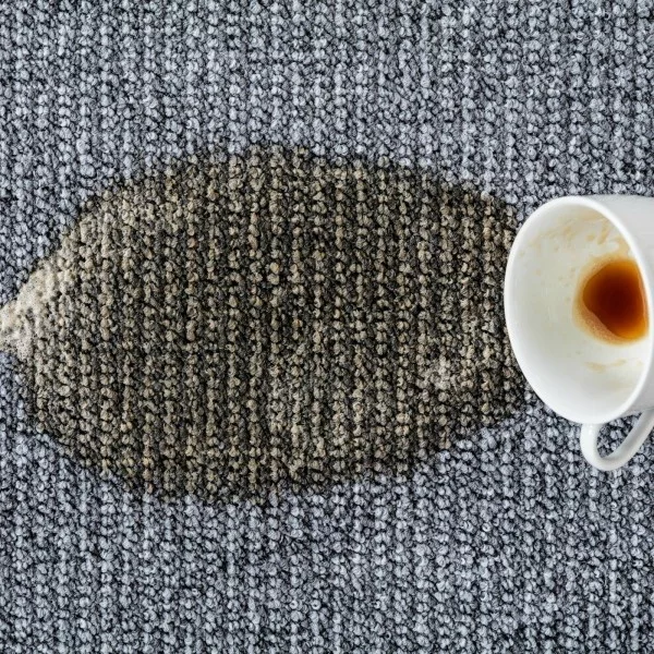 kaffeflecken entfernen teppich reinigen