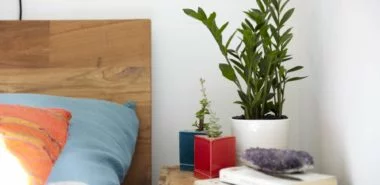 Diese 7 luftreinigenden Pflanzen im Schlafzimmer fördern den guten Schlaf