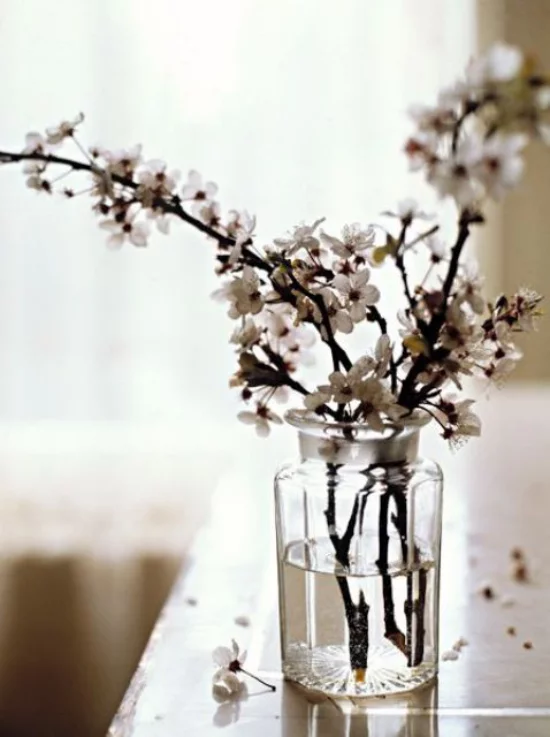 Frühlingsdeko mit Kirschblüten zwei drei dünne Zweige weiße Blüten im Glas