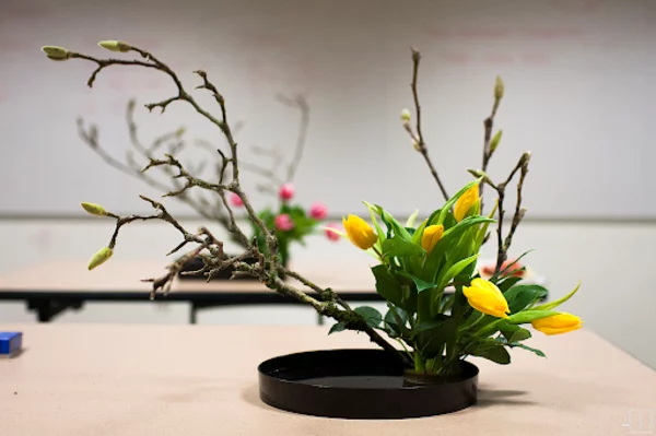 japanische blumensteckkunst ikebana magnolien gelbe tulpen