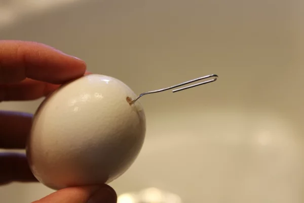 Eier ausblasen Eierschale anstechen Schritt für Schritt Anleitung