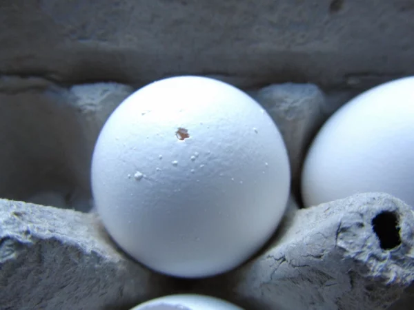 Eier ausblasen Technik Eischale mit Loch Anleitung