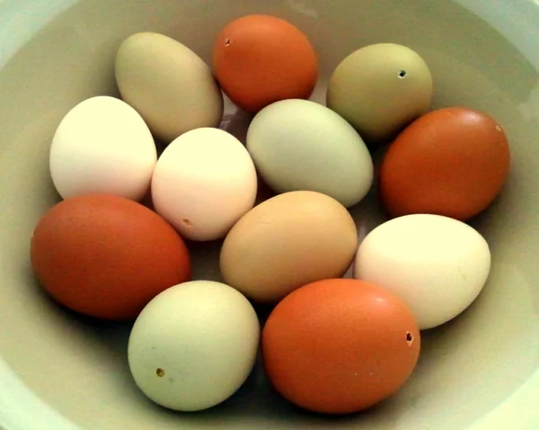 Eier ausblasen Technik Schritt für Schritt Anleitung Eierschalen