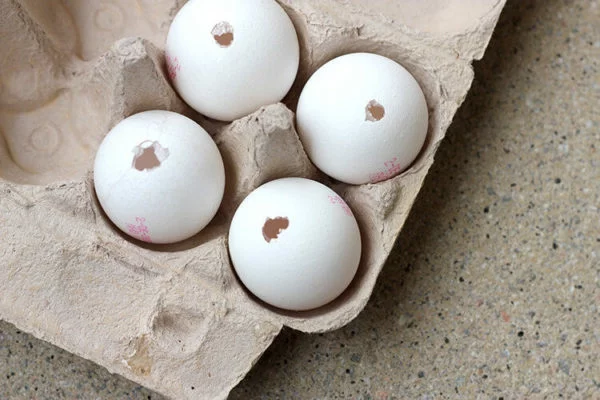 Eier ausblasen abwaschen anstechen auspusten Anleitung