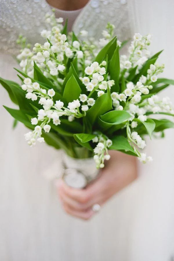 Geburtsmonat passende Blume Blumenstrauß Maiglöckchen kleine weiße Blüten sattgrünes Laub