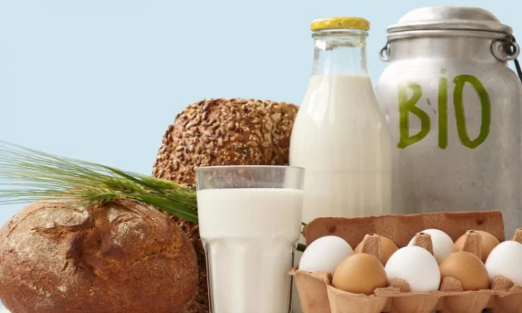 Gesundes und ausgewogenes Essen in Zeiten der Corona-Krise Bio-Produkte Eier Milch selbst gebackenes Brot
