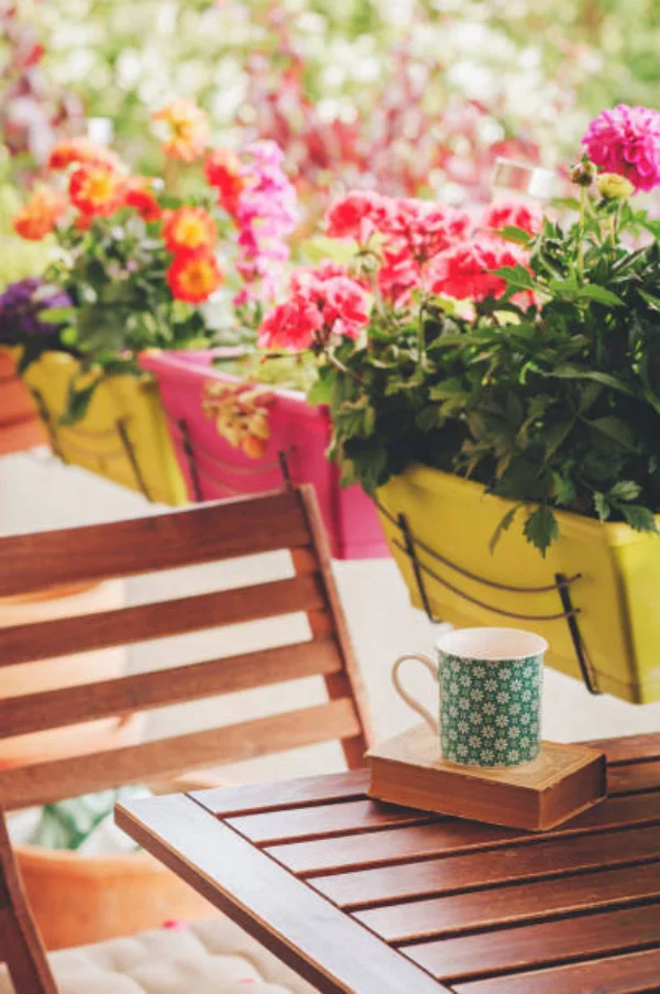 Dahlien Balkon Pflege bunte Blütenpracht Kaffeebecher angenehme Atmosphäre den Erfrischungsdrink genießen