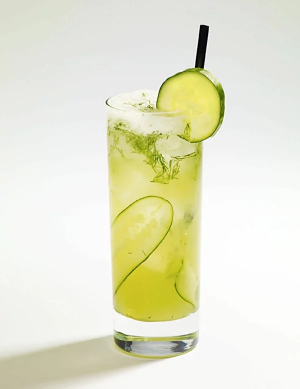 Mocktail Rezepte alkoholfreie Cocktails Rezepte Cucumber Cooler