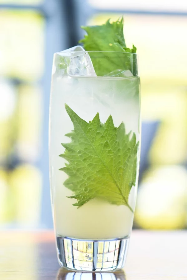 Mocktail Rezepte alkoholfreie Cocktails Rezepte Lemongrass YuShi Fizz