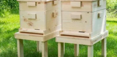 So können Sie einen Bienenstock bauen: ausführliche Anleitung
