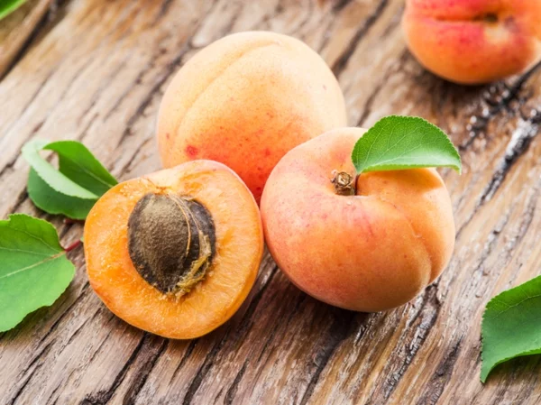 gesunde aprikosen nährwerte