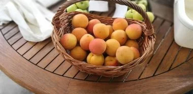 Darum sind Aprikosen so gesund - Herkunft, Nährwerte und Verzehr