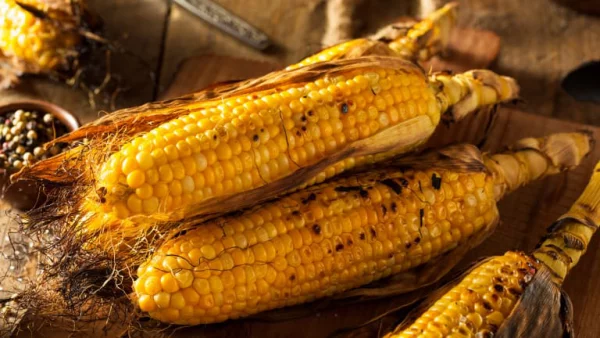 Maiskolben grillen gegrillter Mais schmeckt gut aber viele Kohlenhydrate kalorienreich