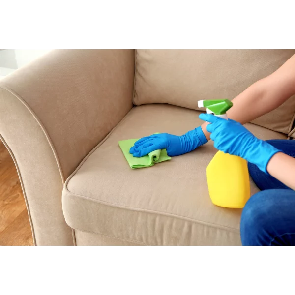 Stoff sauber machen Sofa reinigen