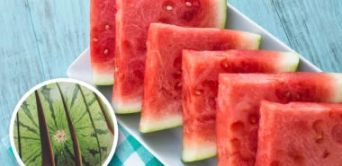 Warum ist die Wassermelonen-Schale gesund und wie man sie verwerten kann