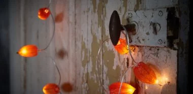 Stimmungsvolle Herbstdeko Ideen mit der Lampionblume Physalis