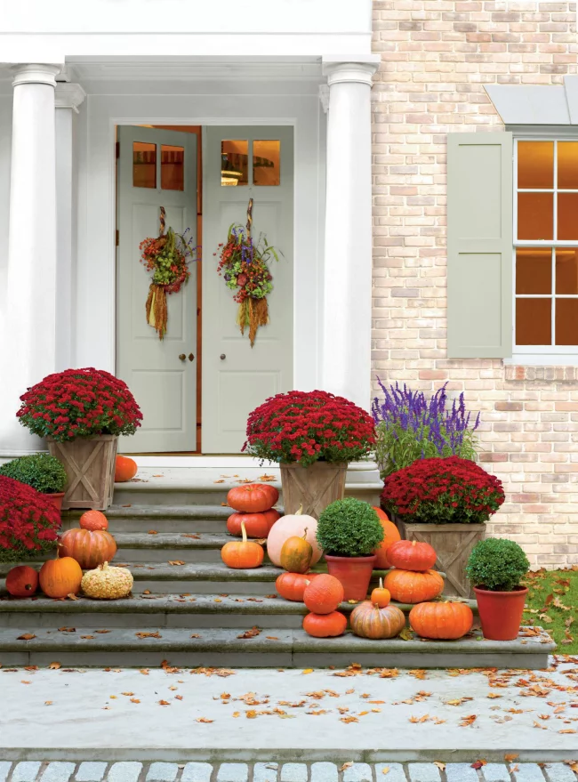 Herbstdeko für draußen modern eyecatching herrliche weinrote Chrysanthemen zahlreiche Kürbisse auf den Treppen weiße Tür zwei Herbstkränze