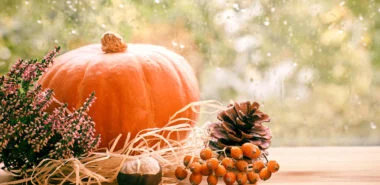 Herbstdeko für draußen – 20 tolle Ideen von rustikal bis modern