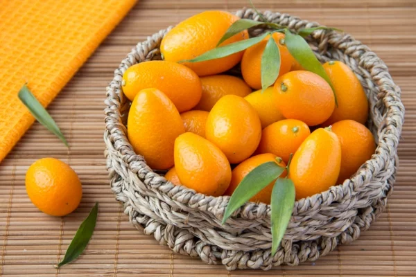 Kumquat in wicker basket