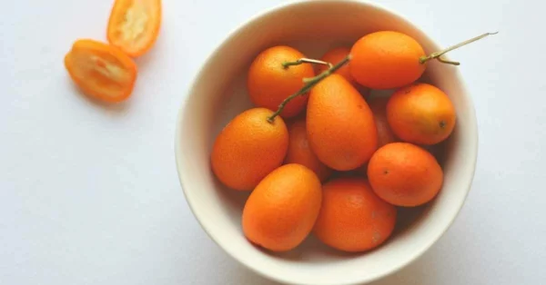 kumquat früchte gepflückt