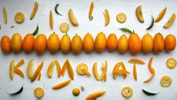 kumquat früchte gesunde vorteile