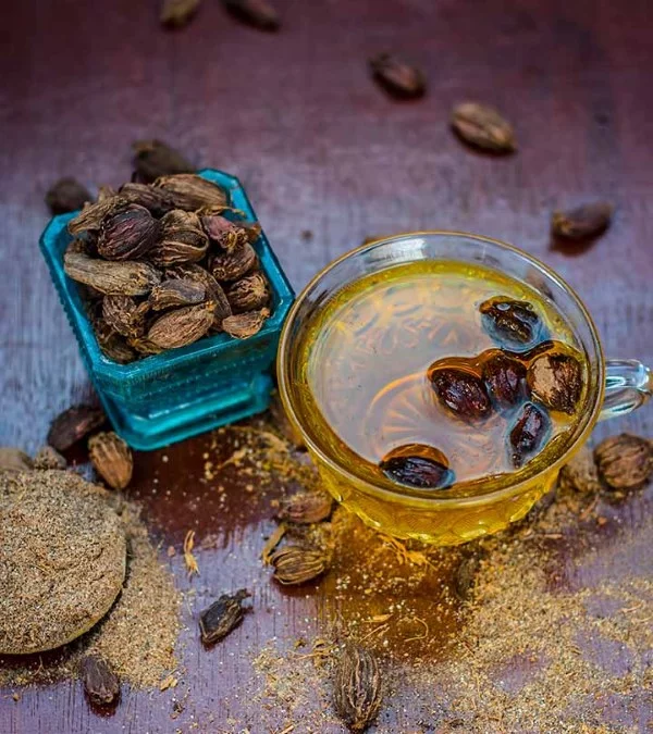 Kardamom Tee – Wie gesund ist das exotische Gewürz aus Indien gewürze tee exotisch