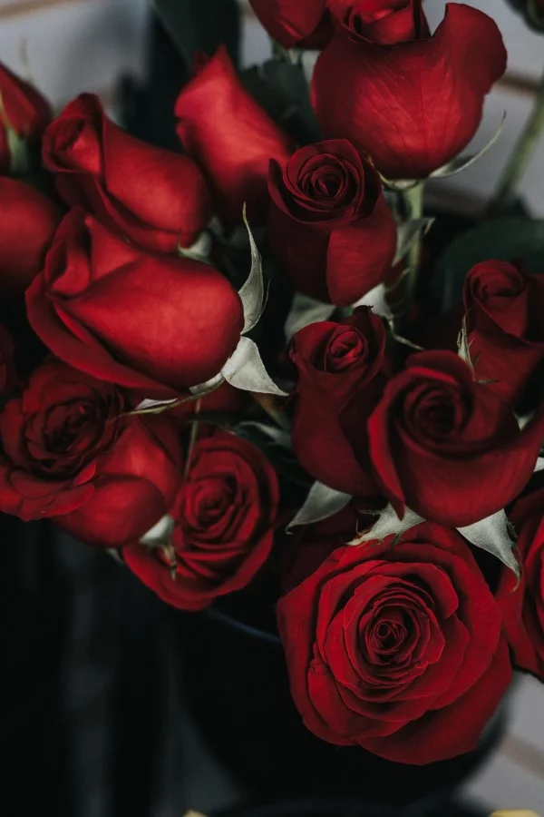 Valentinstag Ursprung und Bräuche - das Fest der Liebenden traditionell feiern rote rosen liebe symbole