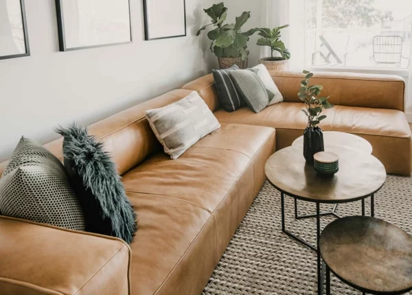 Möbel aus Leder pflegen Tipps und Tricks Wohnzimmer Ecksofa
