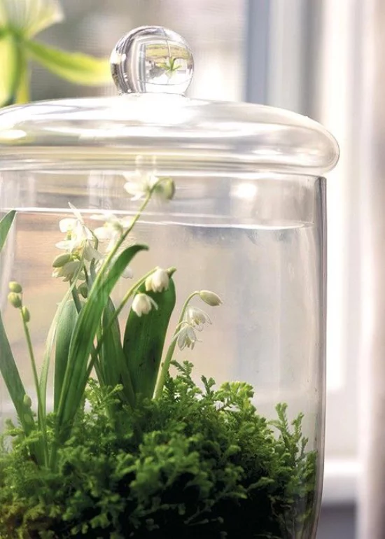 Minigarten im Glas Glasbehälter mit Deckel Maiglöckchen Blickfang idee