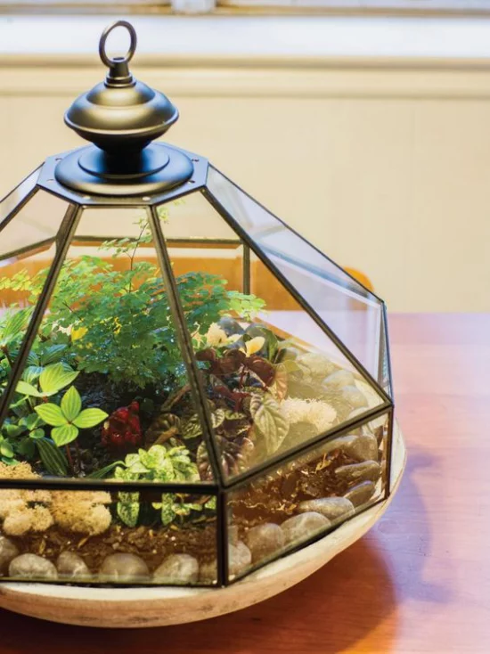 Minigarten im Glas ausgefallenes Glasgefäß tolles stilvolles Arrangement