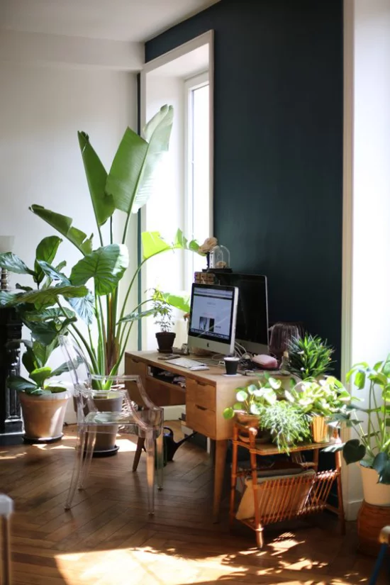 Tropische Deko im Home Office Dschungel-Feeling viele grüne Topfpflanzen Fenster kleiner Tisch PC Plastikstuhl