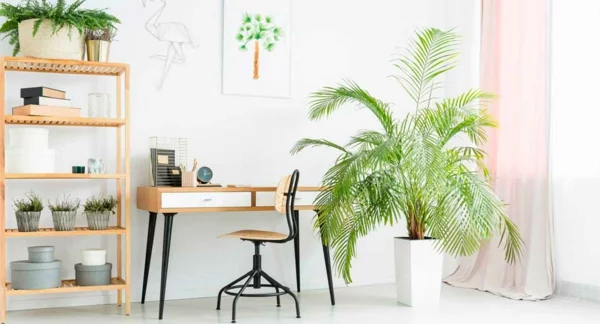 grünes und nachhaltiges Home Office einrichten Zimmerpflanzen
